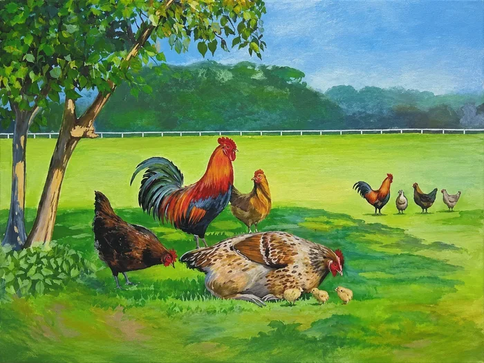 Des poules dispersées dans une étendue verte