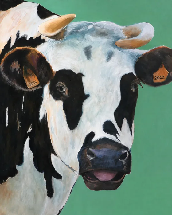 Le portrait rapproché d’une vache Holstein sur fond vert