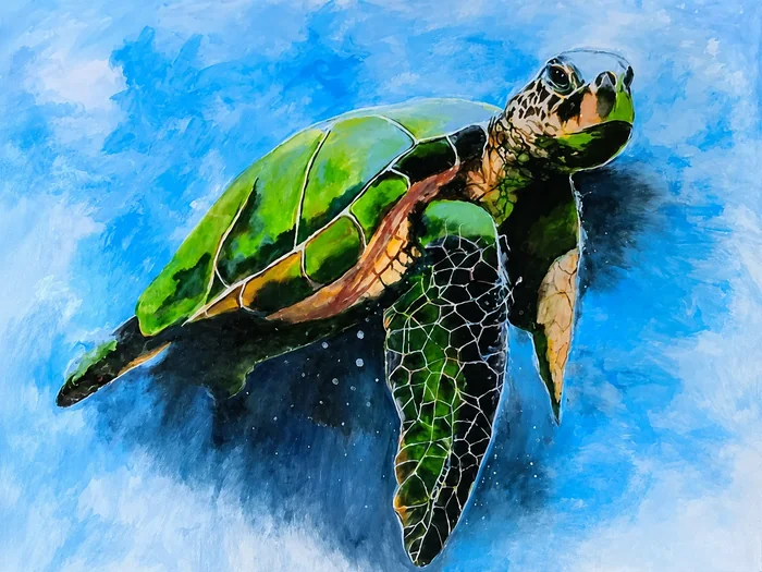 Une tortue verte se déplace dans un espace bleu